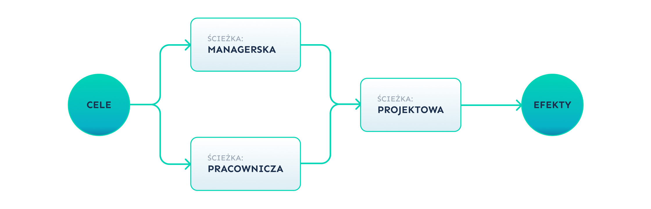 Proces: cele → ścieżki managerska/pracownicza/projektowa → efekty